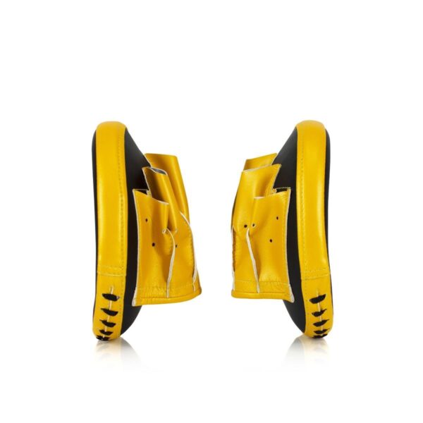FAIRTEX Micro Focus Mitts (FMV15) - Image 6